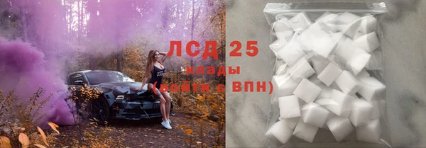 сатива Алагир
