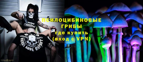 шишки Каменск-Шахтинский