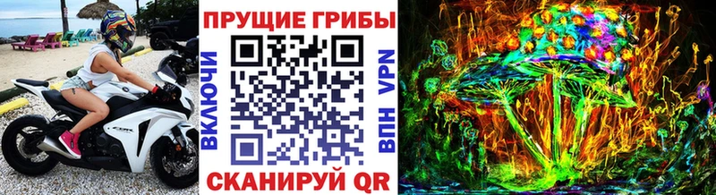 купить наркотик  Костерёво  Галлюциногенные грибы мицелий 
